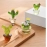 Creative cactus tabletop decoration, glass living room small decoration, home decoration, European style micro landscape decoration, bonsai